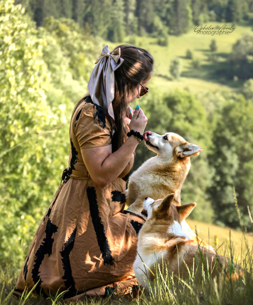 elevage_chiens_seigneurs_de_montbel