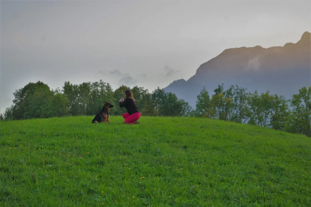 elevage_chiens_seigneurs_de_montbel