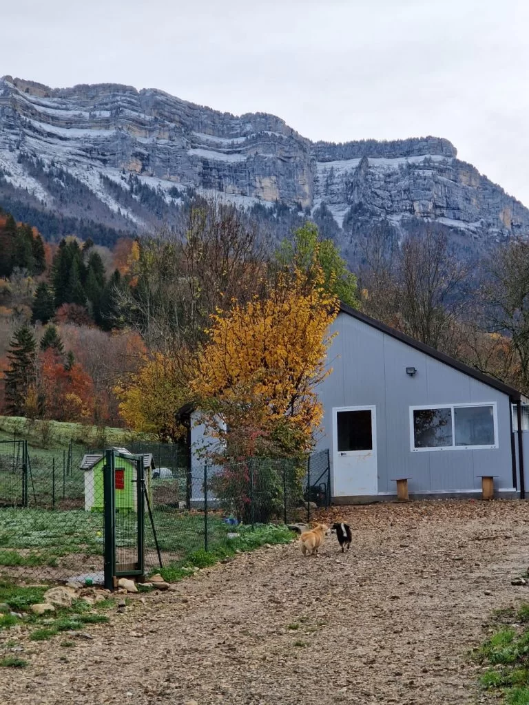 image_elevage_seigneurs_de_montbel